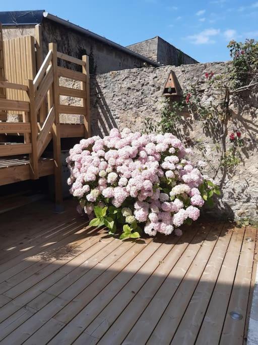 Mer - Gite Entierement Neuf A 100 Metres De La Plage Wimereux Ngoại thất bức ảnh